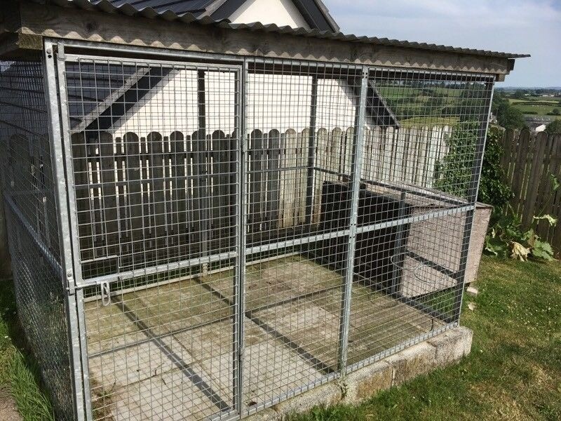 gumtree dog pen
